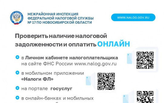 Налоговые задолженности